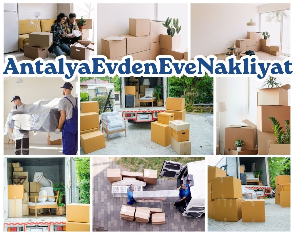 Antalya Dilovası Evden Eve Nakliyat